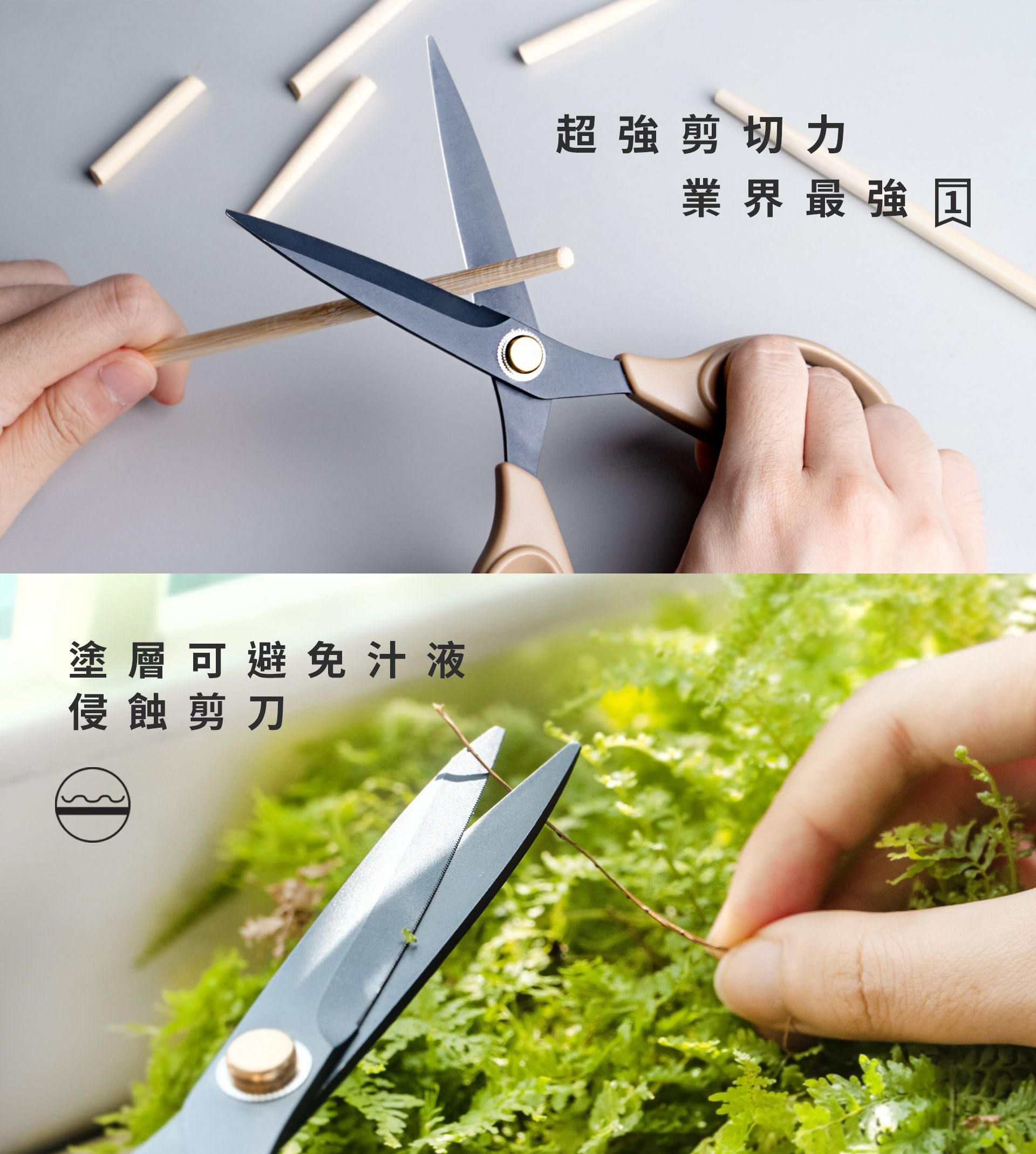 廠商圖3.jpg